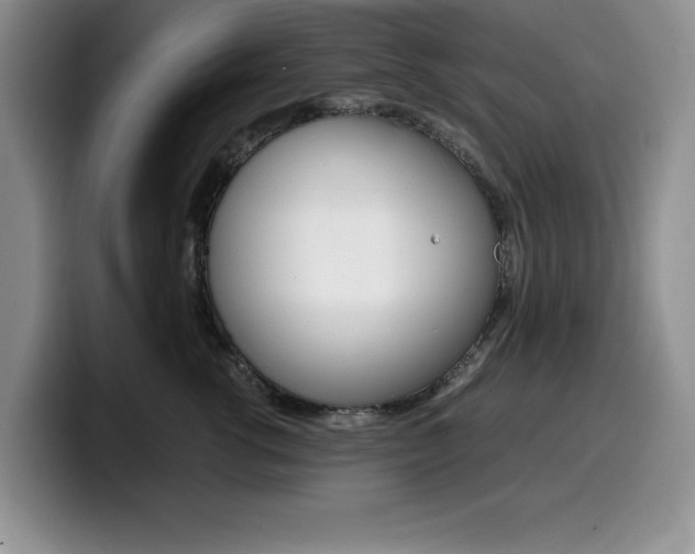 X0000100230762200805300725