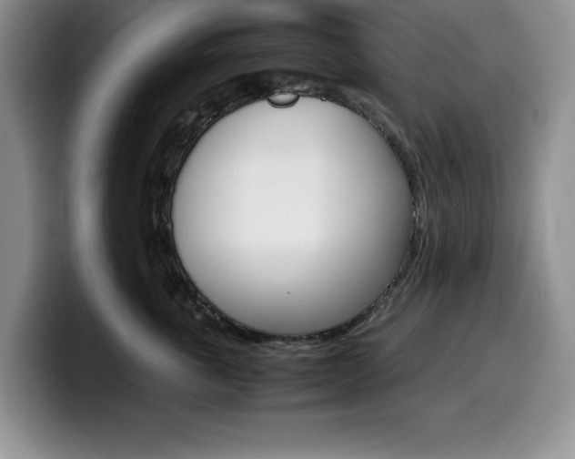 X0000100230763200805300725