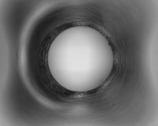 X0000100230764200805300725