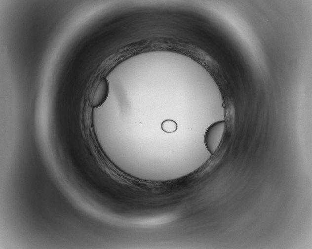 X0000100230765200805300725