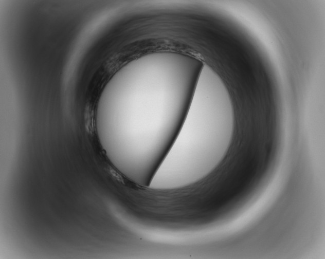 X0000100230766200805300725