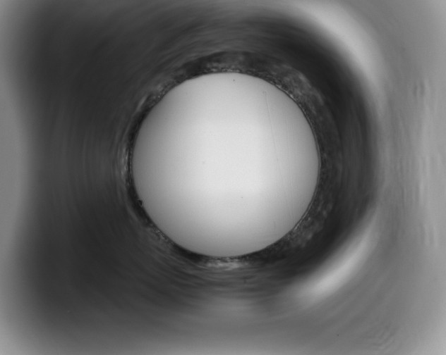 X0000100230767200805300725