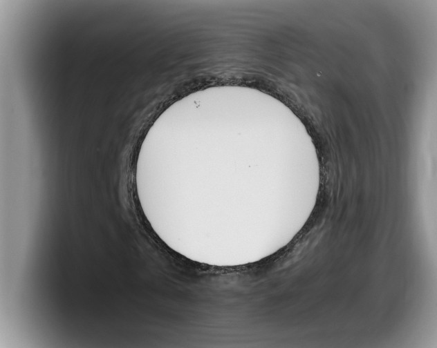 X0000100230769200805300724