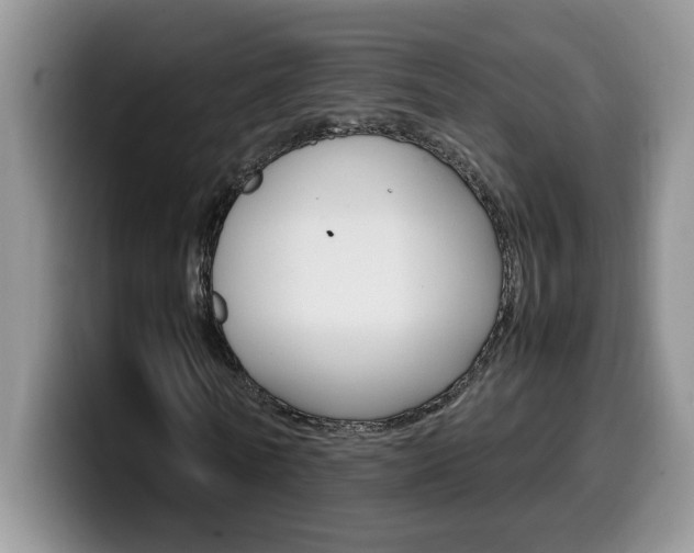 X0000100230770200805300724