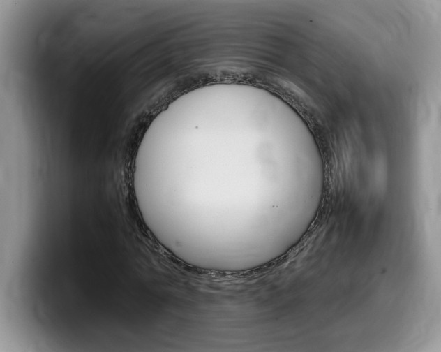 X0000100230774200805300724