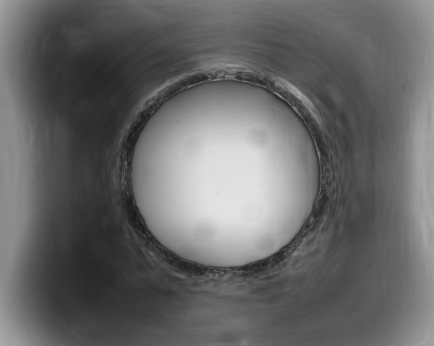 X0000100230775200805300724