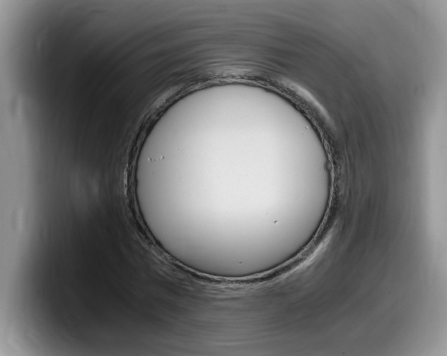 X0000100230777200805300724