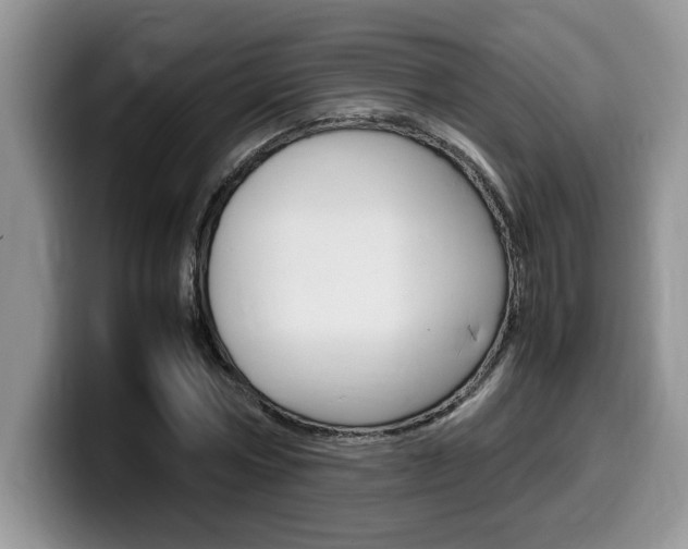 X0000100230778200805300724