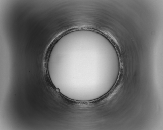 X0000100230781200805300724