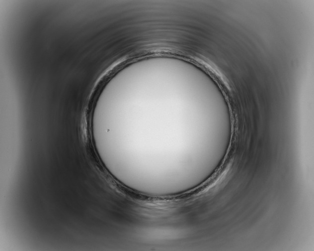 X0000100230782200805300724