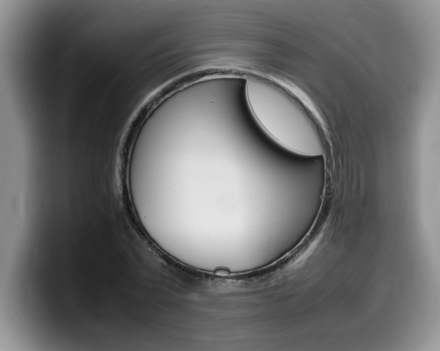 X0000100230783200805300724