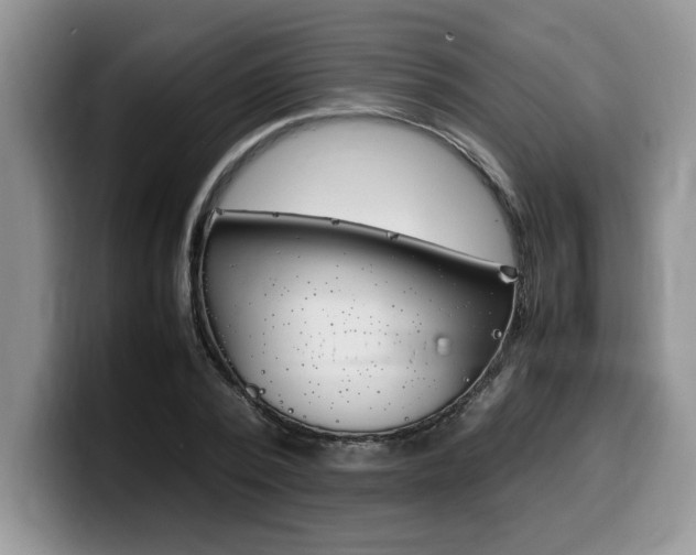 X0000100230784200805300724