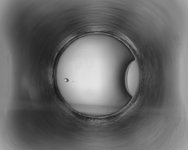 X0000100230786200805300724