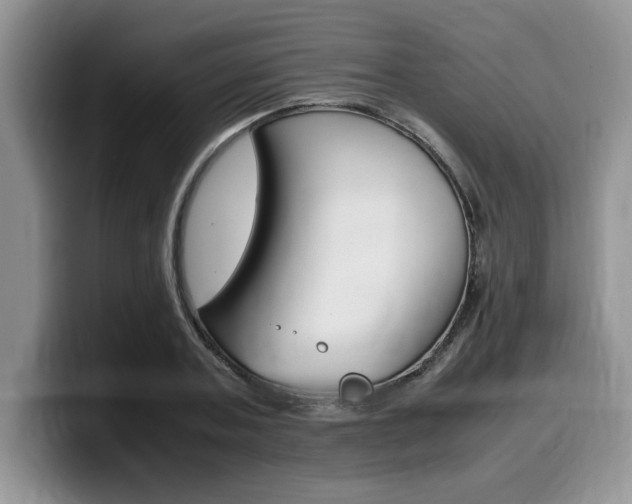 X0000100230787200805300724