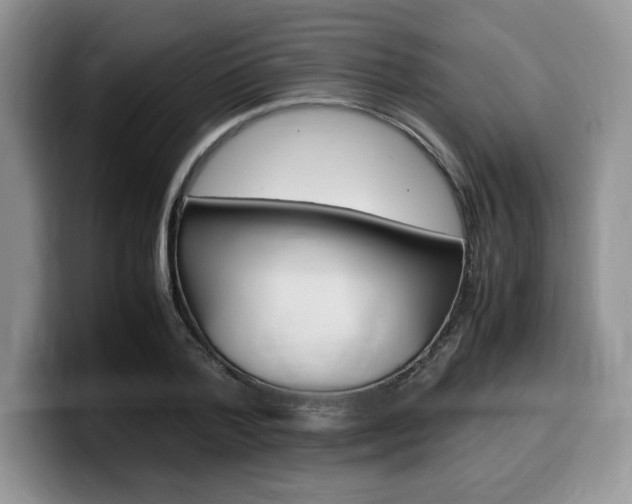 X0000100230788200805300724