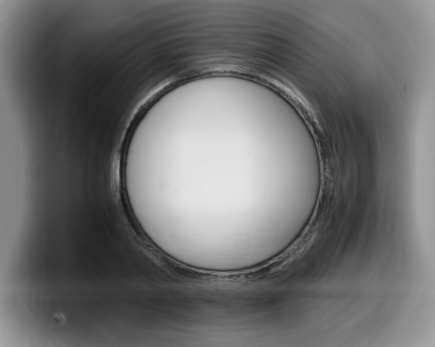 X0000100230790200805300724