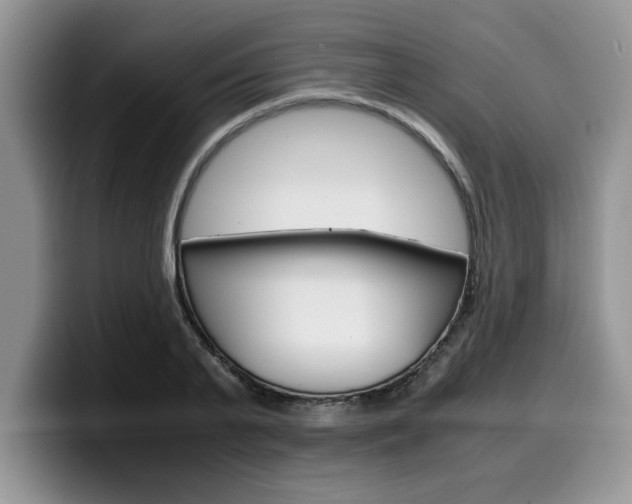 X0000100230791200805300724