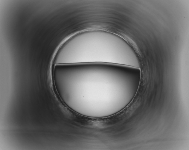 X0000100230792200805300724