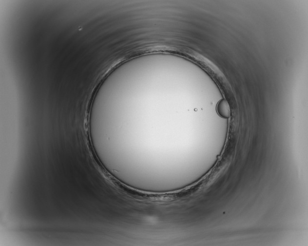 X0000100230793200805300724