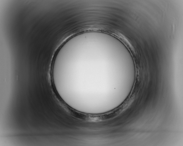 X0000100230794200805300724