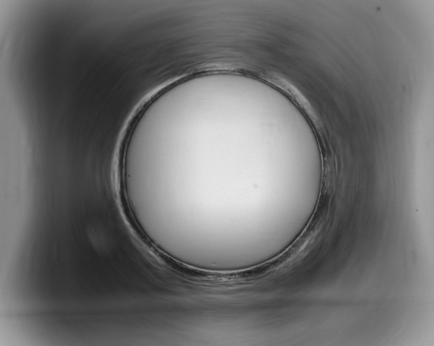 X0000100230795200805300724