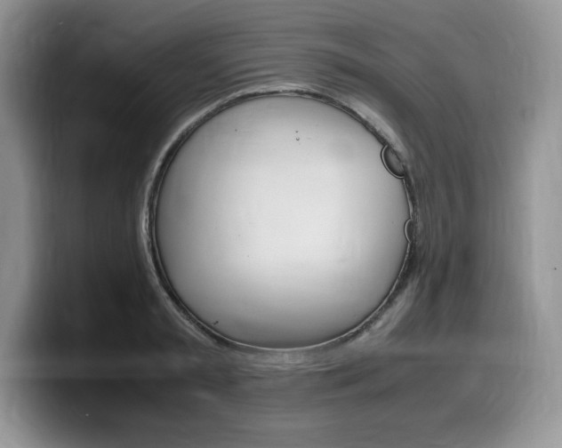 X0000100230797200805300724