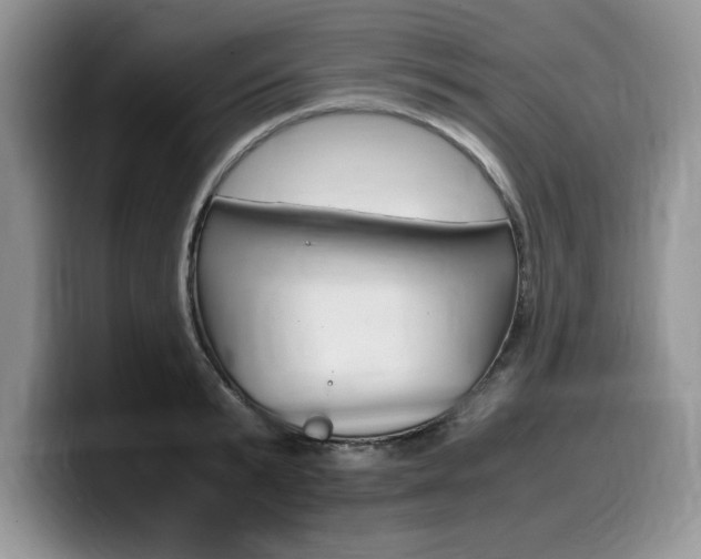 X0000100230799200805300724