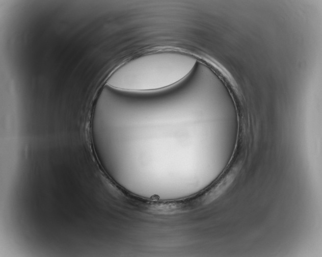 X0000100230801200805300724