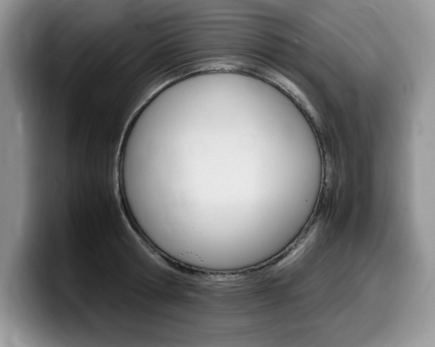 X0000100230802200805300724