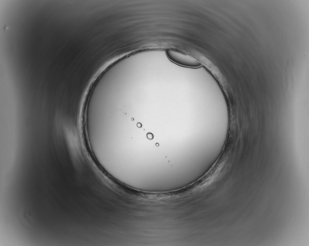 X0000100230803200805300724