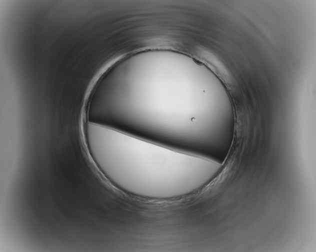 X0000100230804200805300724