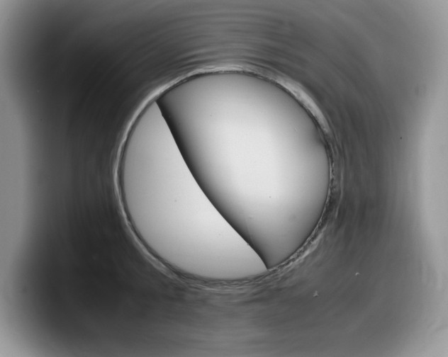 X0000100230805200805300724