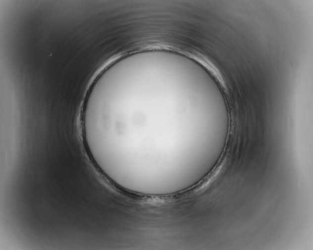 X0000100230806200805300724