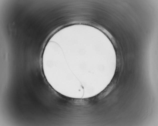 X0000100230807200805300724