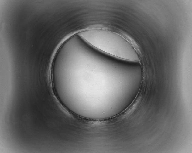 X0000100230808200805300724