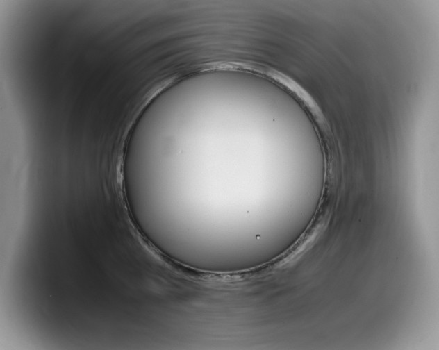 X0000100230809200805300724