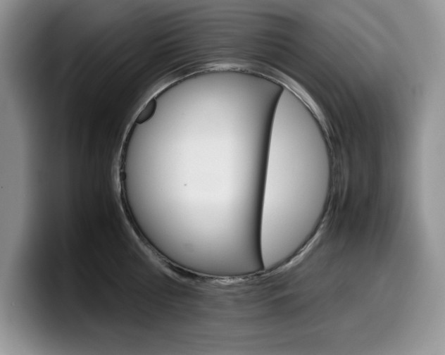 X0000100230810200805300724