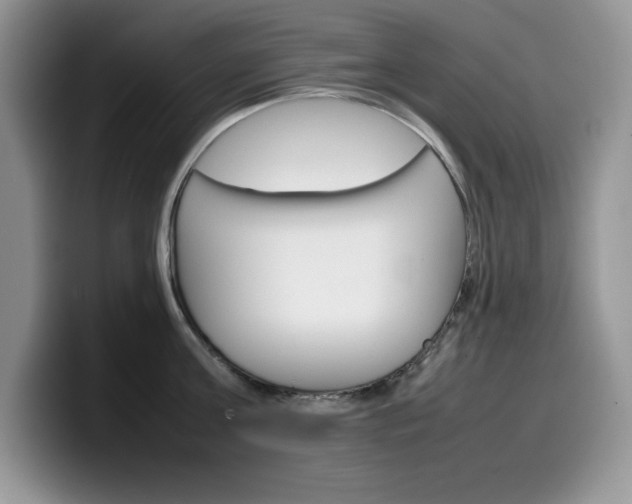 X0000100230811200805300724