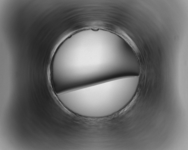 X0000100230812200805300724