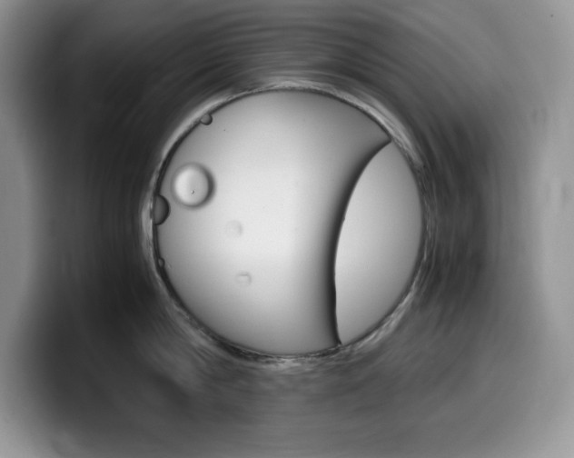 X0000100230814200805300724