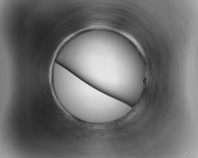 X0000100230815200805300724