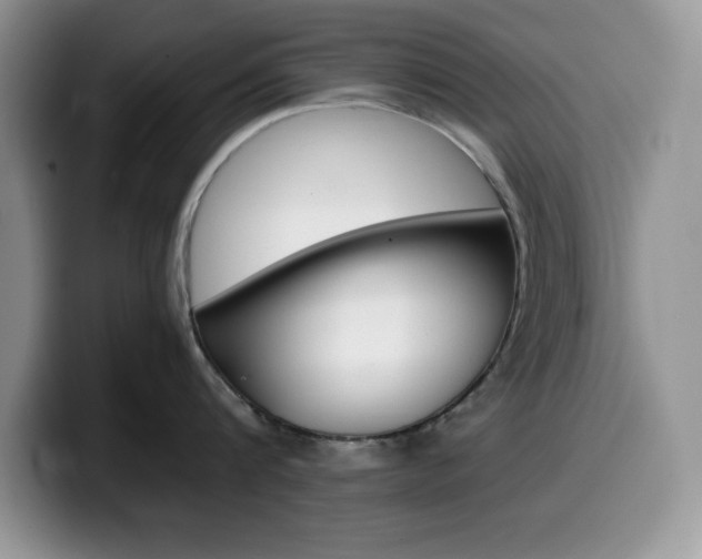 X0000100230816200805300724