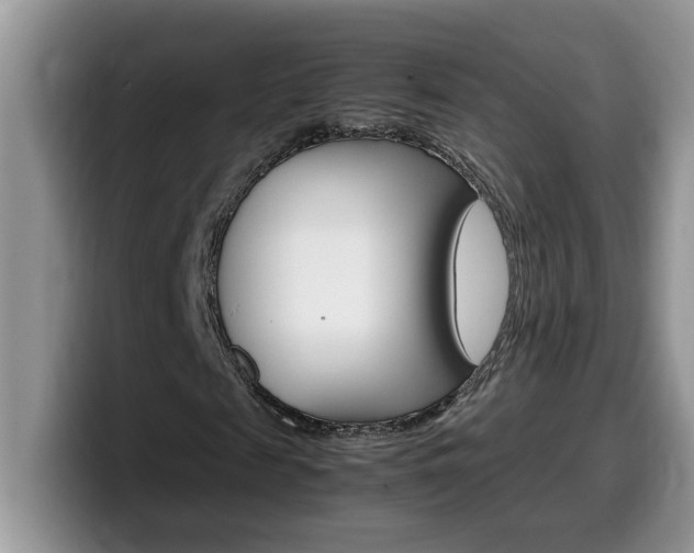 X0000100230817200805300723