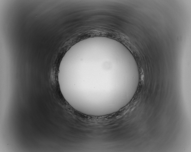 X0000100230819200805300723