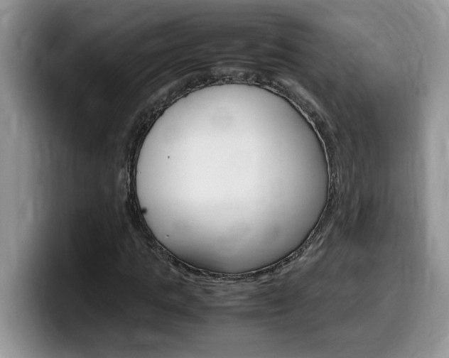 X0000100230821200805300723