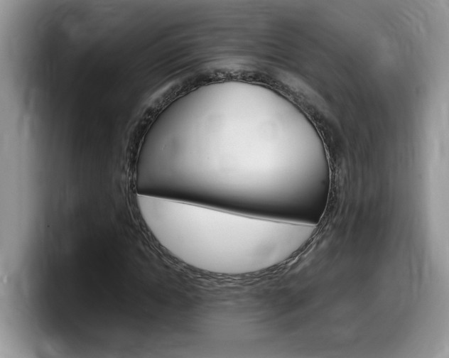 X0000100230822200805300723