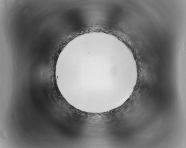 X0000100230824200805300723