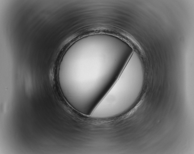 X0000100230826200805300723