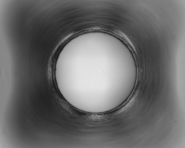 X0000100230827200805300723