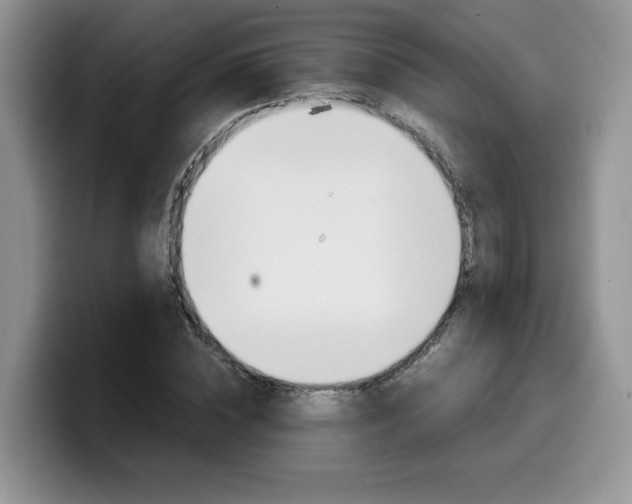X0000100230828200805300723